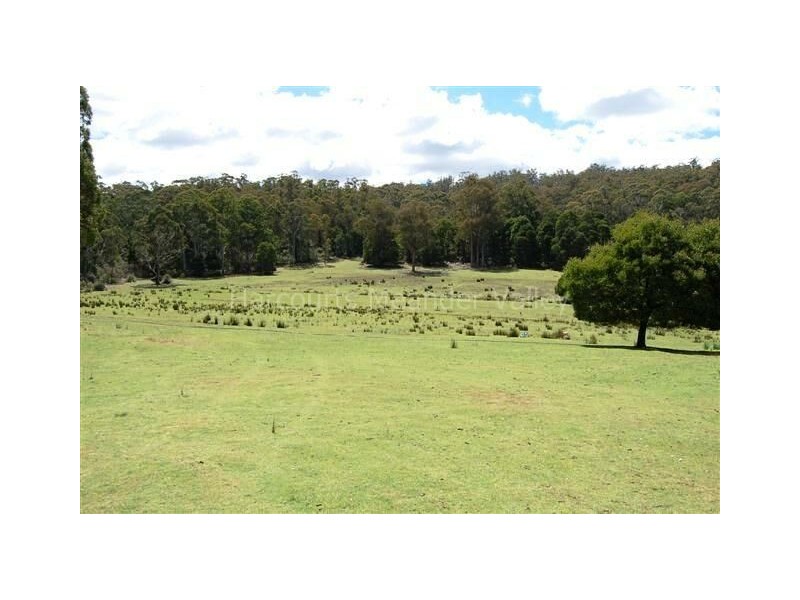 490 Larcombes Road, Reedy Marsh TAS 7304