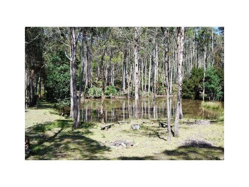 490 Larcombes Road, Reedy Marsh TAS 7304