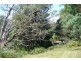 199 Samuel Street, Elizabeth Town TAS 7304
