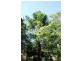 199 Samuel Street, Elizabeth Town TAS 7304
