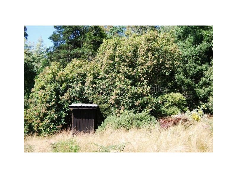 199 Samuel Street, Elizabeth Town TAS 7304