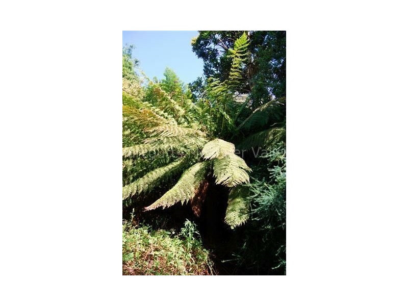 199 Samuel Street, Elizabeth Town TAS 7304