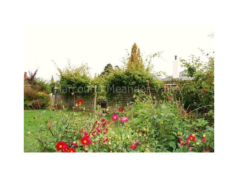 16 Lyall Street, Westbury TAS 7303