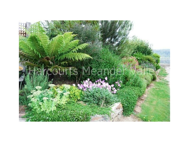 84 Coates Hill Road, Parkham TAS 7304