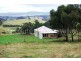 84 Coates Hill Road, Parkham TAS 7304