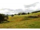 84 Coates Hill Road, Parkham TAS 7304