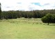 490 Larcombes Road, Reedy Marsh TAS 7304