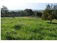 Lot 1 Prout Street, Elizabeth Town TAS 7304