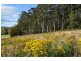 Lot 1 Prout Street, Elizabeth Town TAS 7304