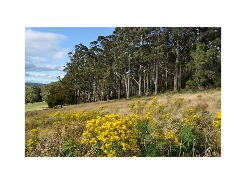 Lot 1 Prout Street, Elizabeth Town TAS 7304