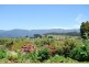 1876 Mole Creek Road, Mole Creek TAS 7304