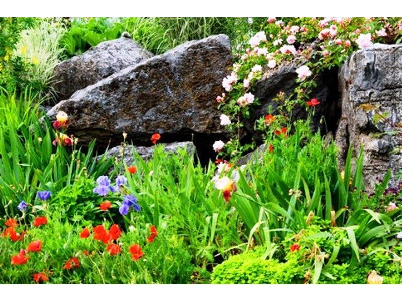 100 Pioneer Drive, Mole Creek TAS 7304