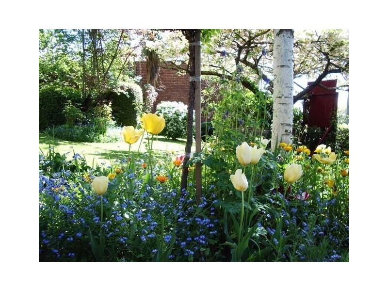 19 West Parade, Deloraine TAS 7304