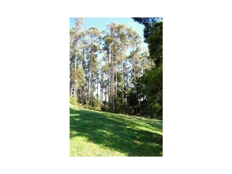 77 Whiteleys Road, Meander TAS 7304