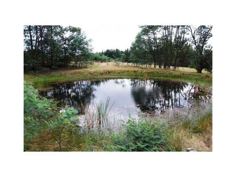 548 Quamby Brook Road, Quamby Brook TAS 7304