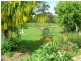 78 Greens Road, Mole Creek TAS 7304