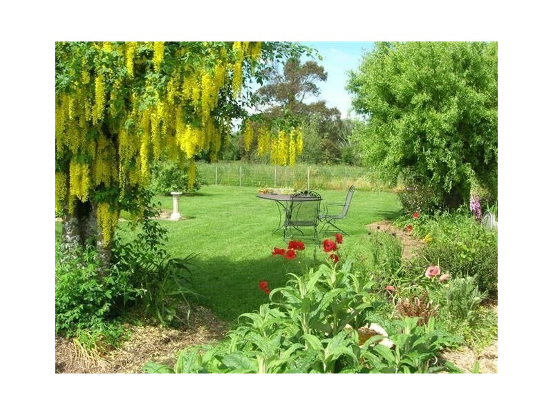 78 Greens Road, Mole Creek TAS 7304