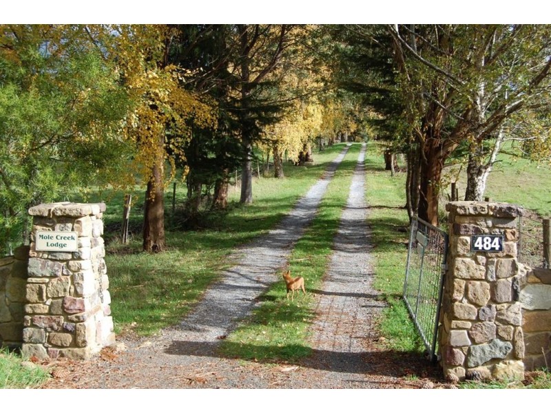 484 Caveside Road, Mole Creek TAS 7304