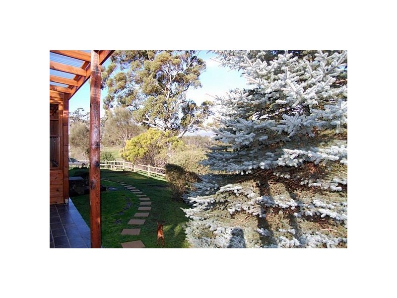 484 Caveside Road, Mole Creek TAS 7304