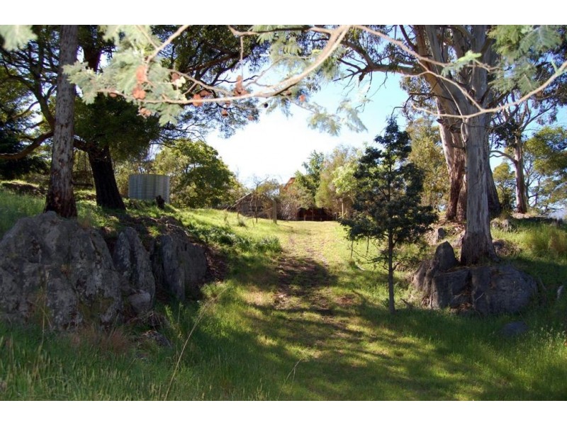 484 Caveside Road, Mole Creek TAS 7304