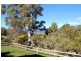 484 Caveside Road, Mole Creek TAS 7304
