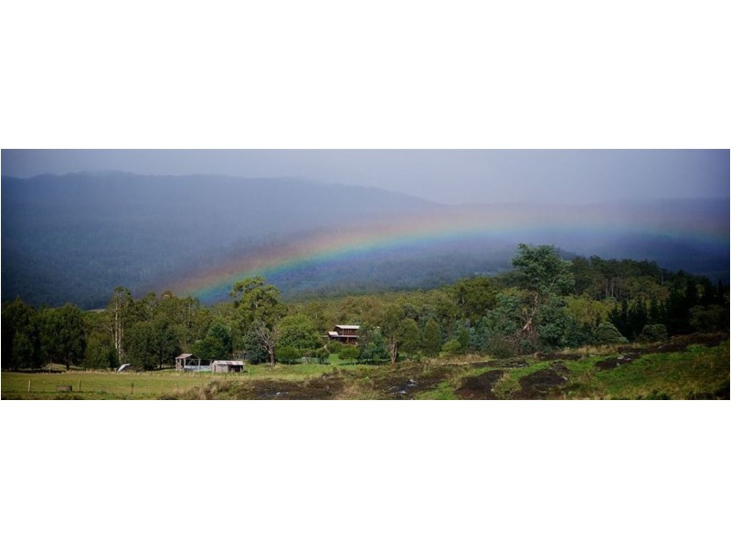 484 Caveside Road, Mole Creek TAS 7304