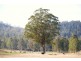 1361 Liena Road, Mole Creek TAS 7304