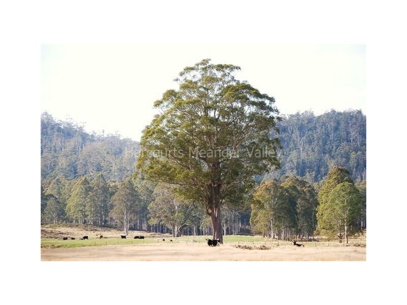 1361 Liena Road, Mole Creek TAS 7304