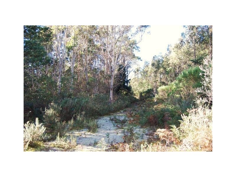 494 Bogan Road, Golden Valley TAS 7304