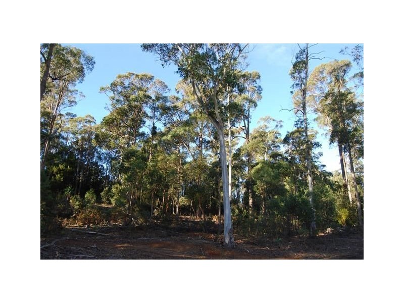 50 Meander Road, Meander TAS 7304