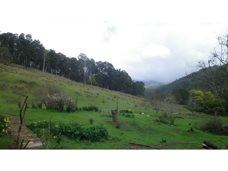 175 Hawleys Road, Weegena TAS 7304