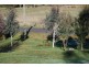 63 West Barrack Street, Deloraine TAS 7304