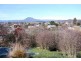 63 West Barrack Street, Deloraine TAS 7304