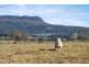 29 Reiffers Road, Meander TAS 7304