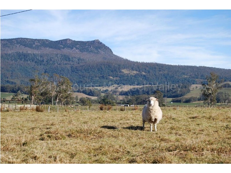 29 Reiffers Road, Meander TAS 7304