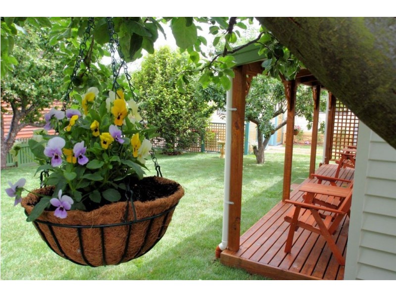 50 William Street, Westbury TAS 7303