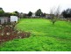 131 Dexter Street, Westbury TAS 7303