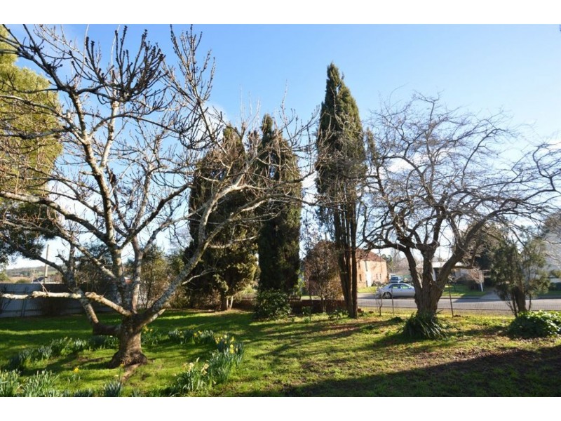 54 William Street, Westbury TAS 7303