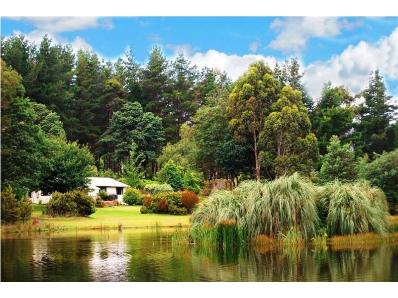 13515 Highland Lakes Road, Golden Valley TAS 7304