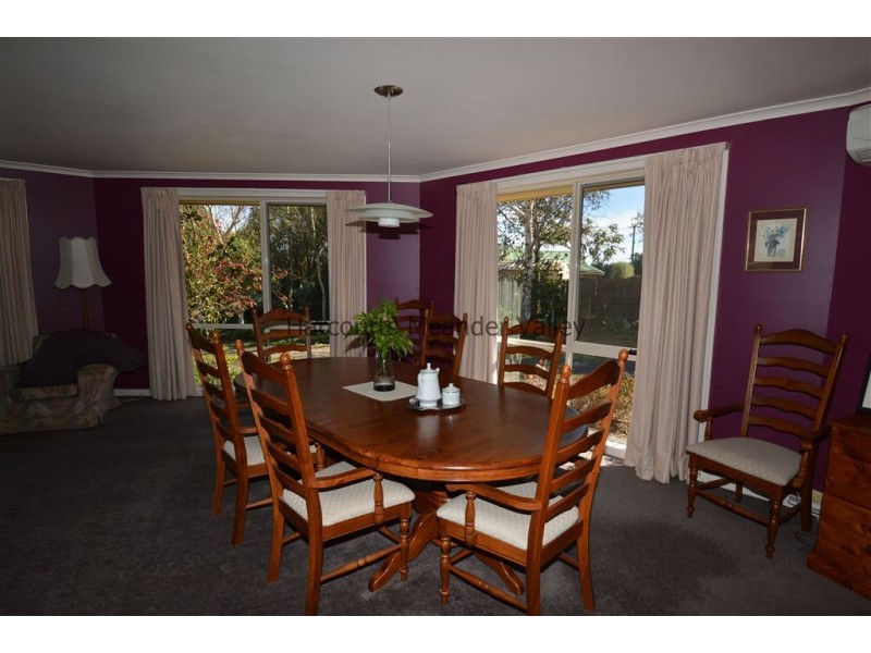 11 Gleadow Street, Deloraine TAS 7304