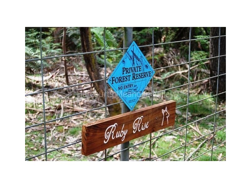 350 Larcombes Road, Reedy Marsh TAS 7304