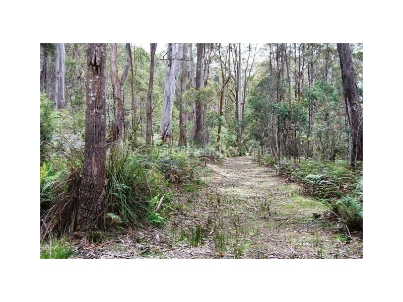 350 Larcombes Road, Reedy Marsh TAS 7304