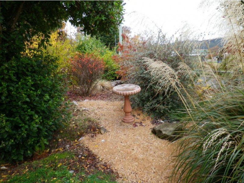 54 Pioneer Drive, Mole Creek TAS 7304