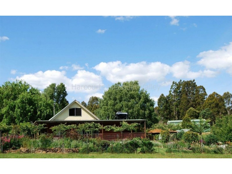 211 Farrells Road, Reedy Marsh TAS 7304