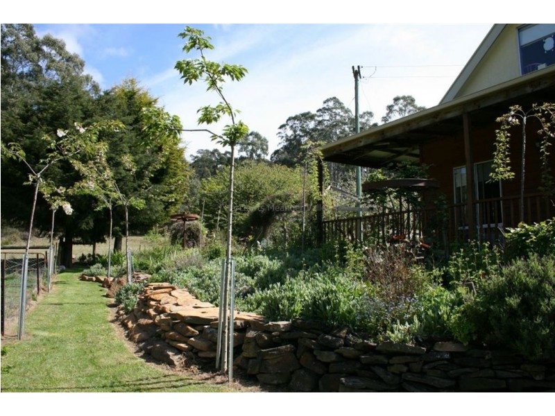 211 Farrells Road, Reedy Marsh TAS 7304
