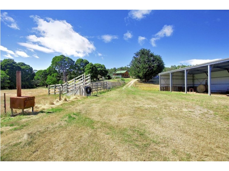 338 Maloneys Road, Parkham TAS 7304