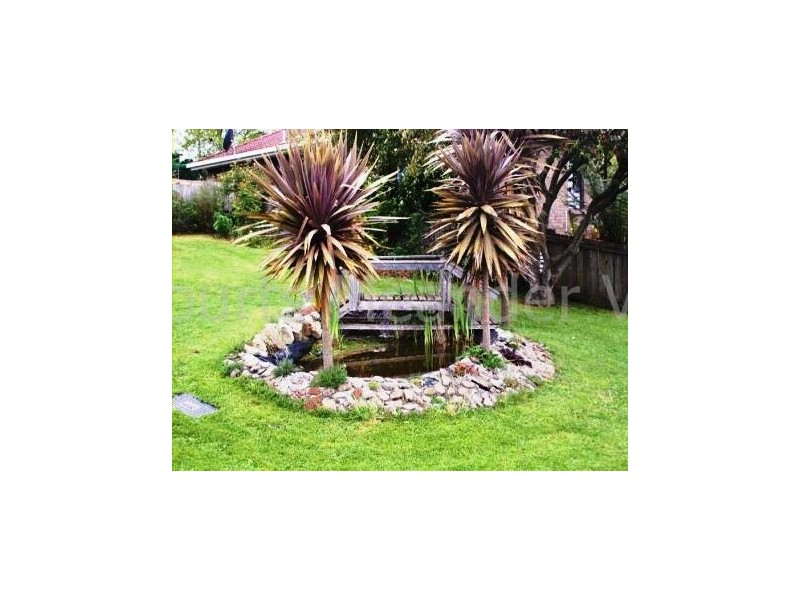 91 West Barrack Street, Deloraine TAS 7304