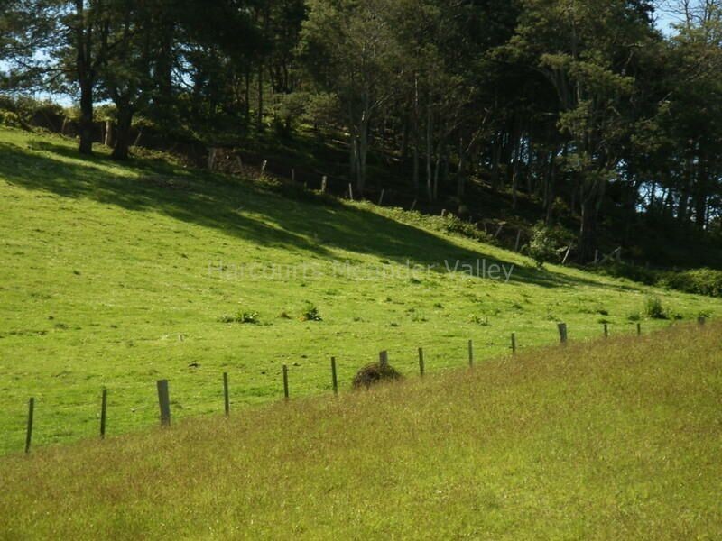 1517 Birralee Road, Birralee TAS 7303