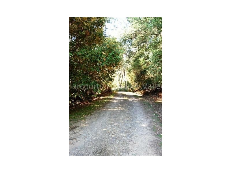 380 Sugarloaf Road, Jackeys Marsh TAS 7304