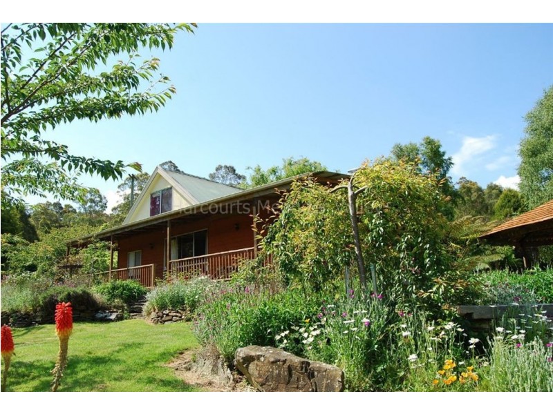 211 Farrells Road, Reedy Marsh TAS 7304